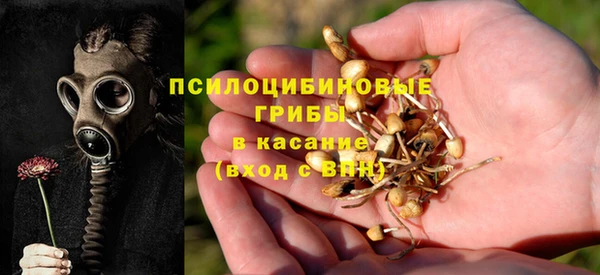 спайс Абдулино