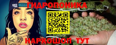 мдпв Обнинск