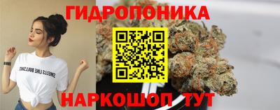 мдпв Обнинск