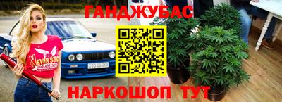 эйфоретик Обь