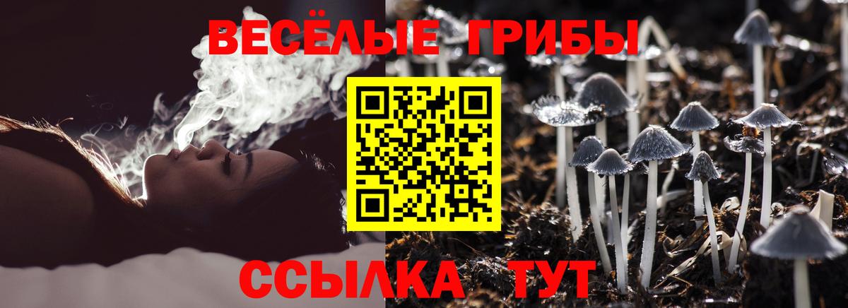 Псилоцибиновые грибы ЛСД  Вход с VPN  Серпухов 